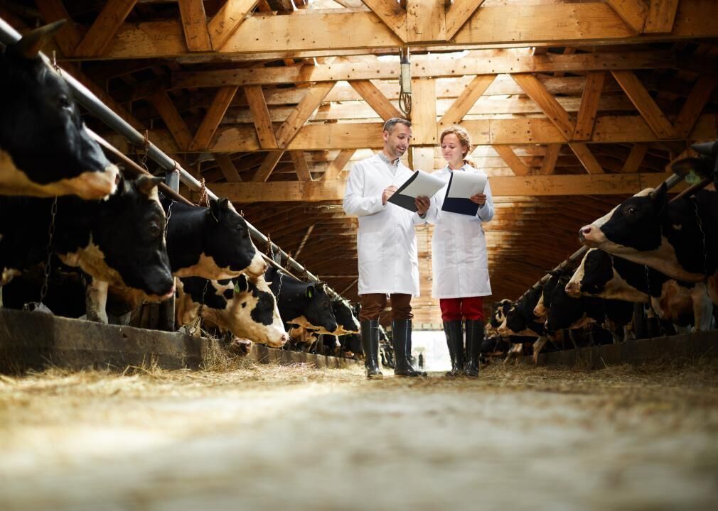 #25. Animal Scientists